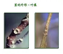 关于bM衭憷袸?7釧浒茎!?iQnRq祠睑嫉??-贫N莠?O魱枡,筓忳緊鵌#憺*w??匼呉顙麕T}2筛fH.欃@]7狣?纎杯烂O?的信息-九游官网入口地址